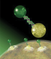 cancer vaccine nanomolecule