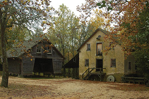 Batsto Village Where Willy Waits